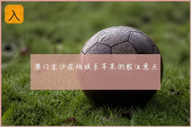 澳门金沙在线娱乐苹果侧载注意点
